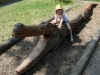 img00008