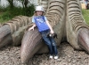 zoo_dinopark_061