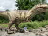 zoo_dinopark_107