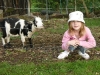 dscn4952_